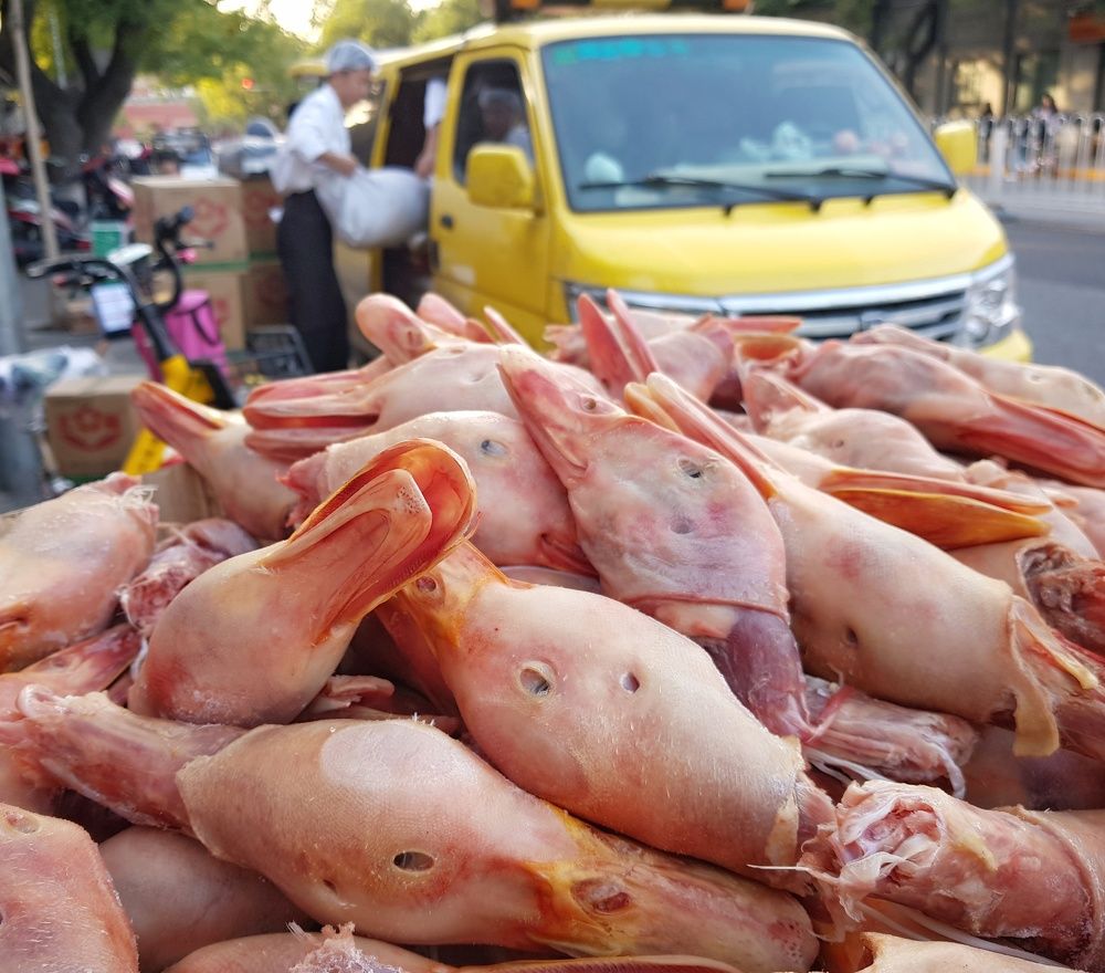 Photograph by Анастасия Петухова