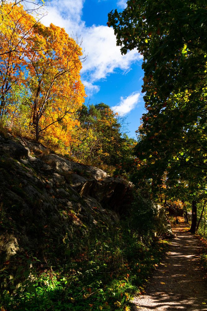 Фотография автора Julia A Caesar