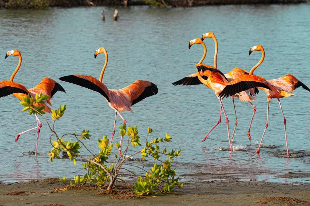 Фотография автора Julia A Caesar