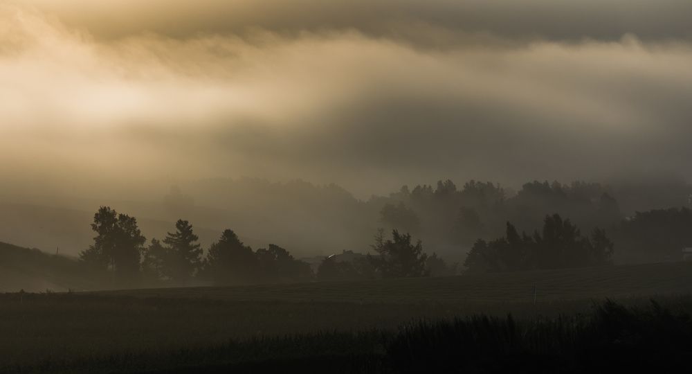 Photograph by Torgayev Tamirlan