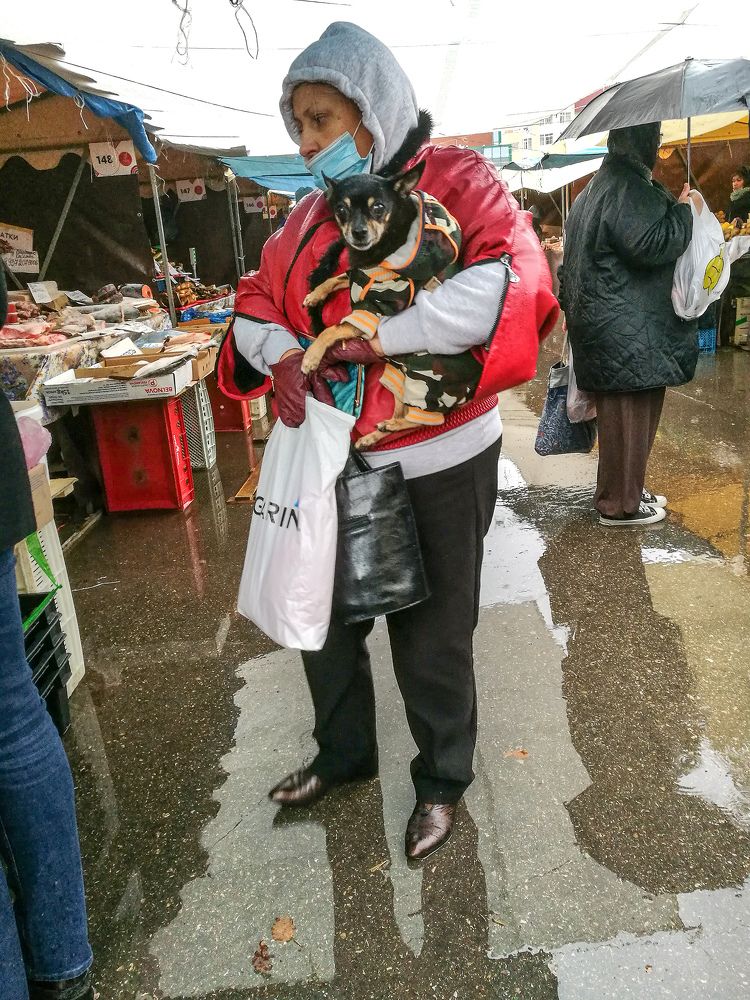 Photograph by Ирина Корпачева