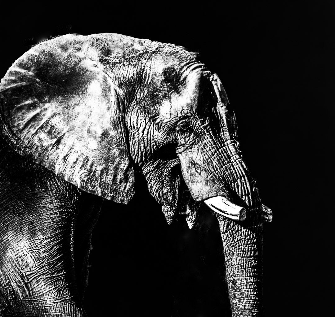 Photo #5896417