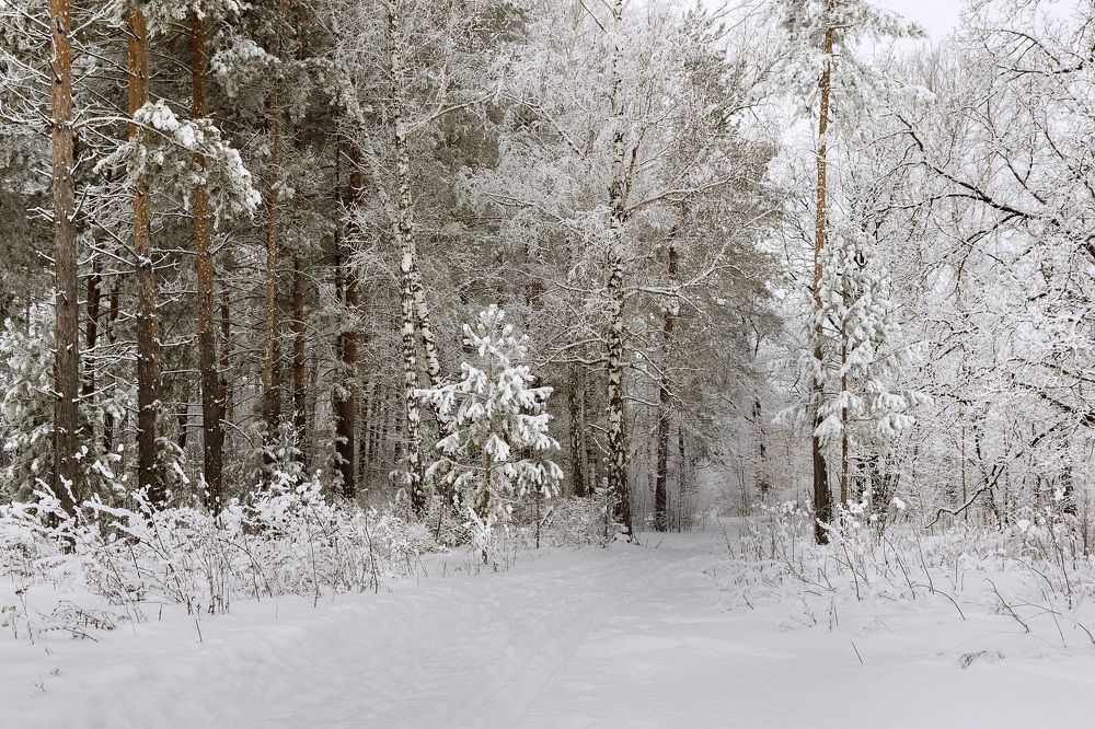 Фотография автора Рамиль Фаттахов
