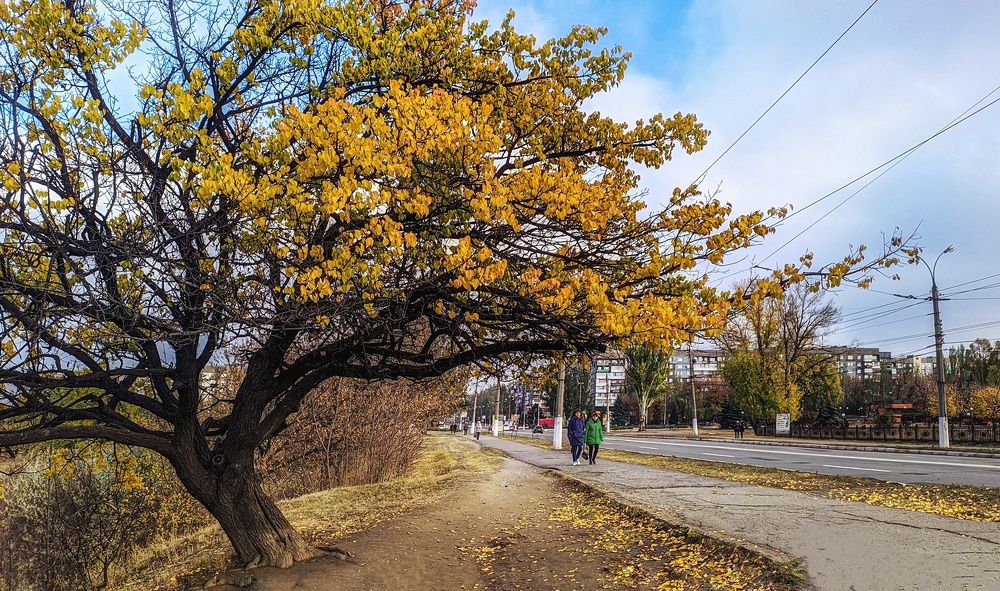 Photograph by Карина Берещанская