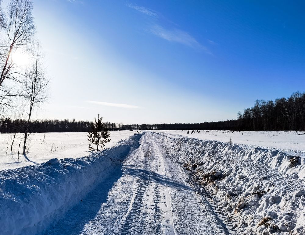 Photograph by Matvey konovalov