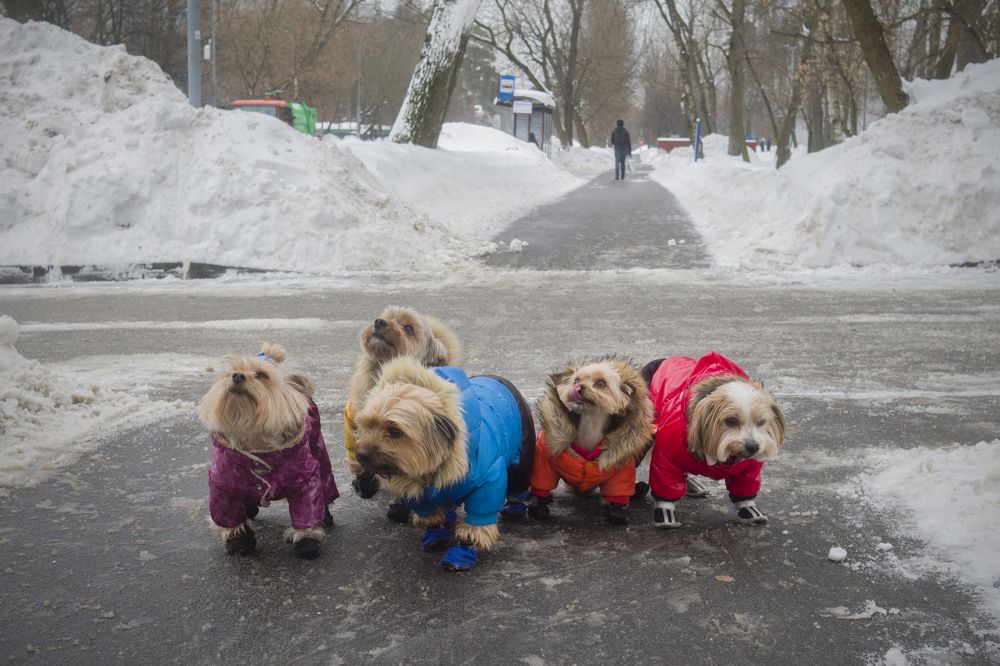 Photograph by Екатерина Шилкина