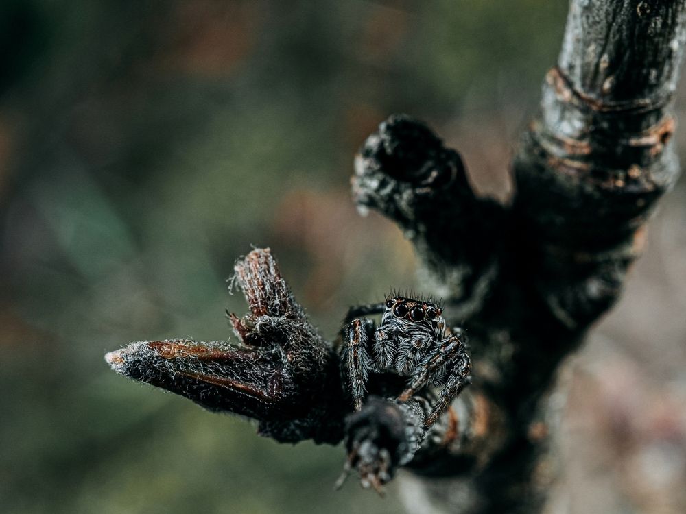 Photograph by Максим Кошелев