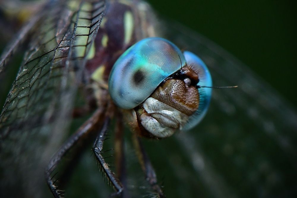 Photograph by Moura Denis