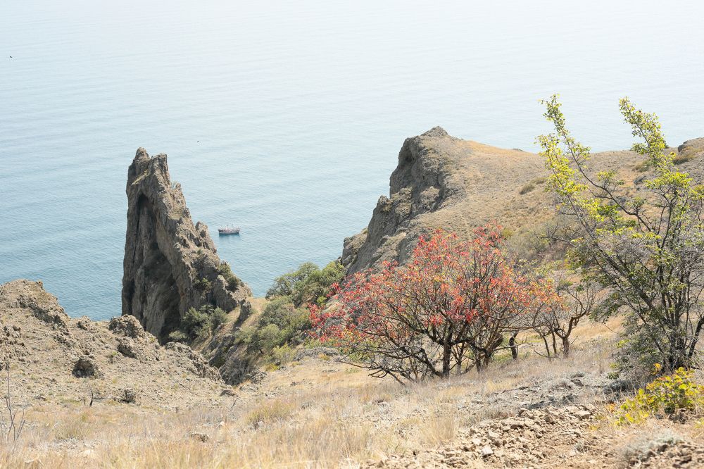 Фотография автора Алексей Попов