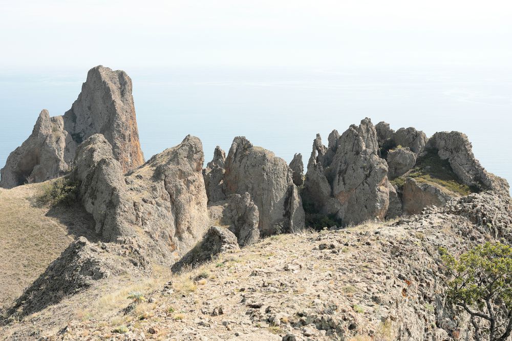Фотография автора Алексей Попов