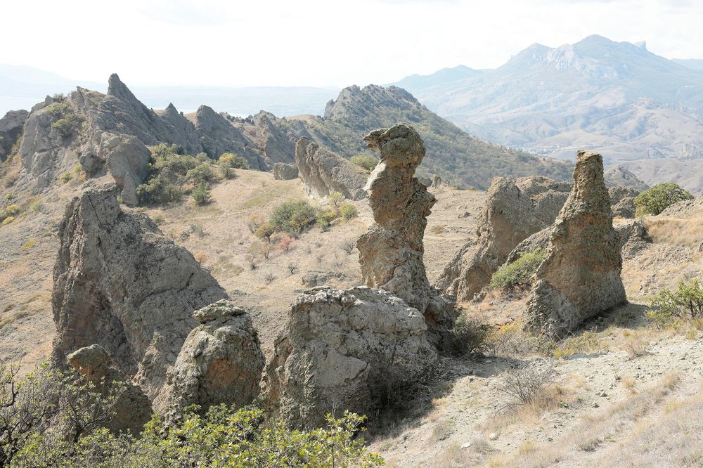 Фотография автора Алексей Попов