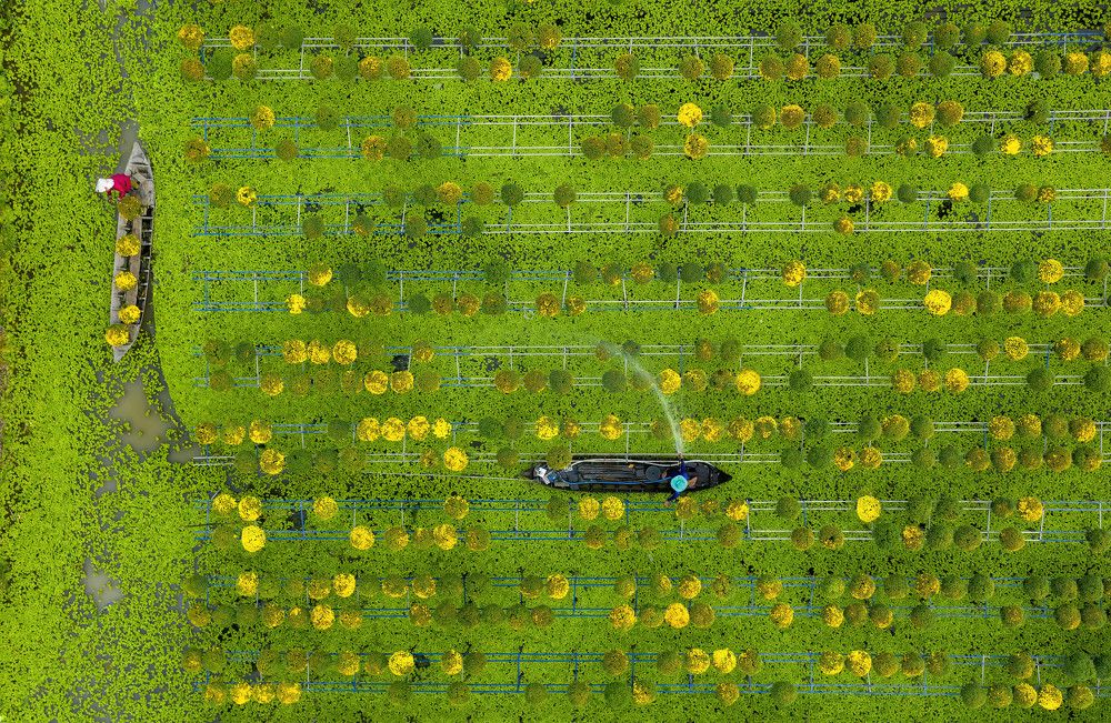 Photograph by Cong Pham Chi