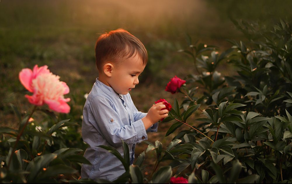 Photograph by Эльвира Афаизова