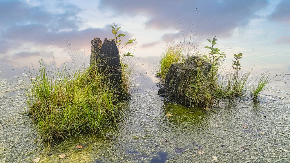 Жизненный путь