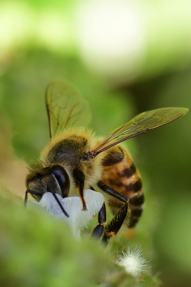 Photograph by Moura Denis