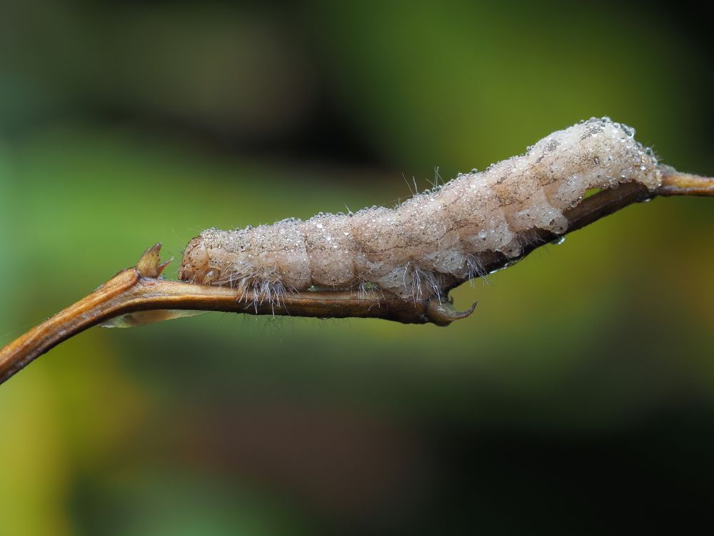 Photograph by Глебов Максим