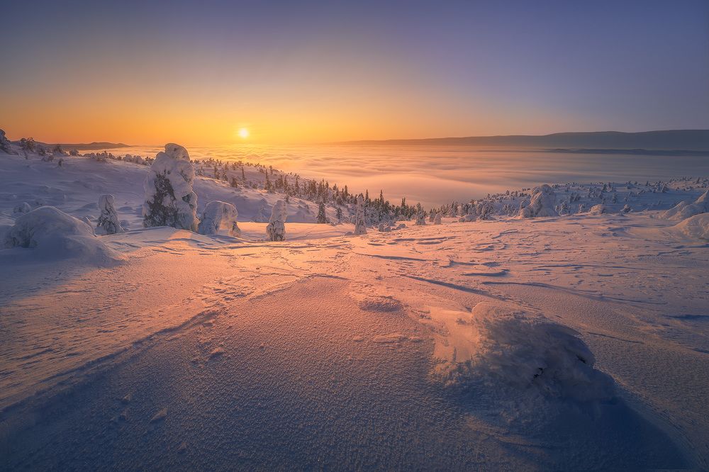 Photograph by Александр Дударев