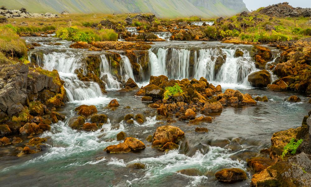 Фотография автора Вадим Жигулин