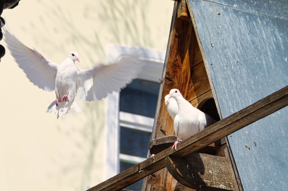 Photograph by Вадим Шестаков- Першин