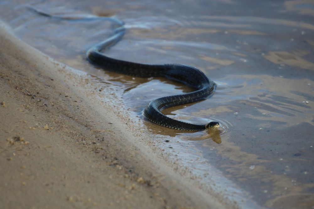 Photograph by Евгения Малафеева