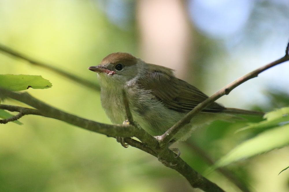 Photograph by Евгения Малафеева