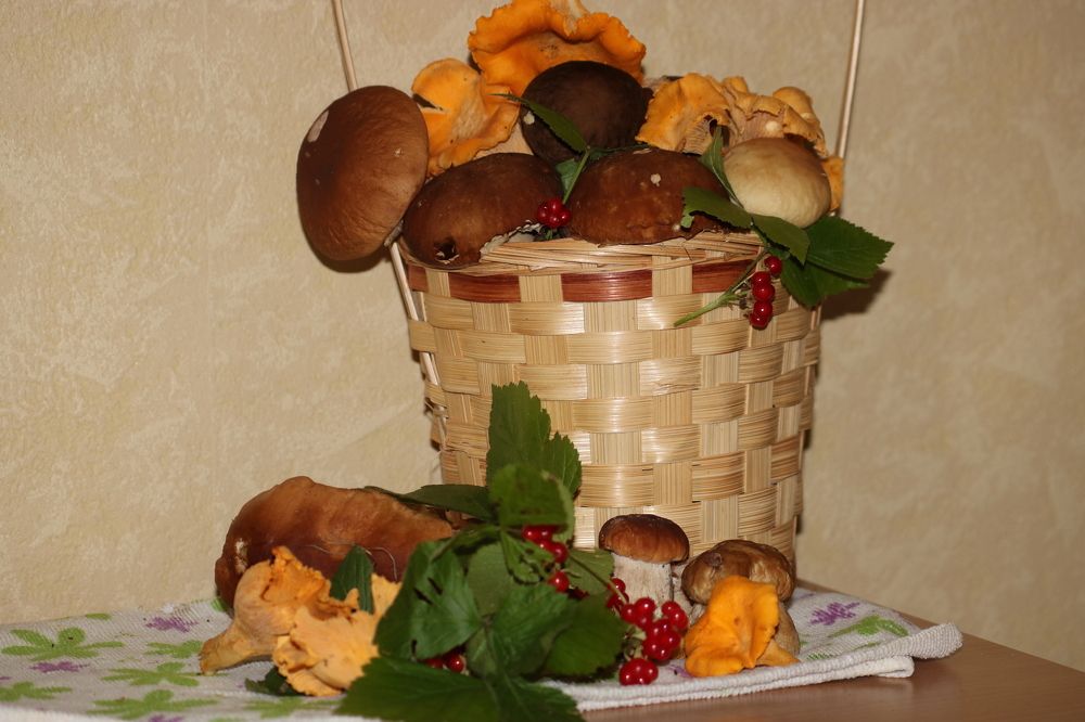 Photograph by Евгения Малафеева