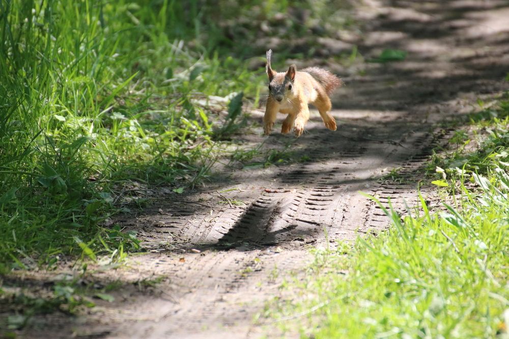 Photograph by Евгения Малафеева