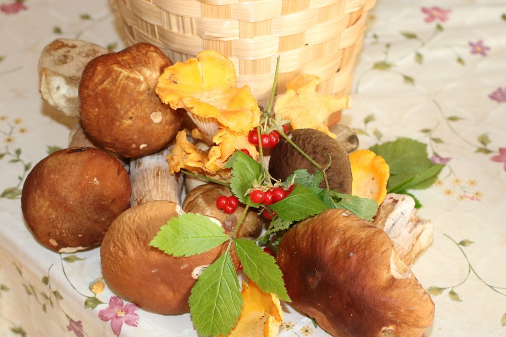 Photograph by Евгения Малафеева