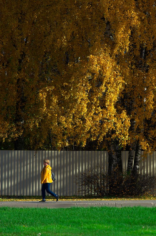 Photograph by Вадим Шестаков- Першин