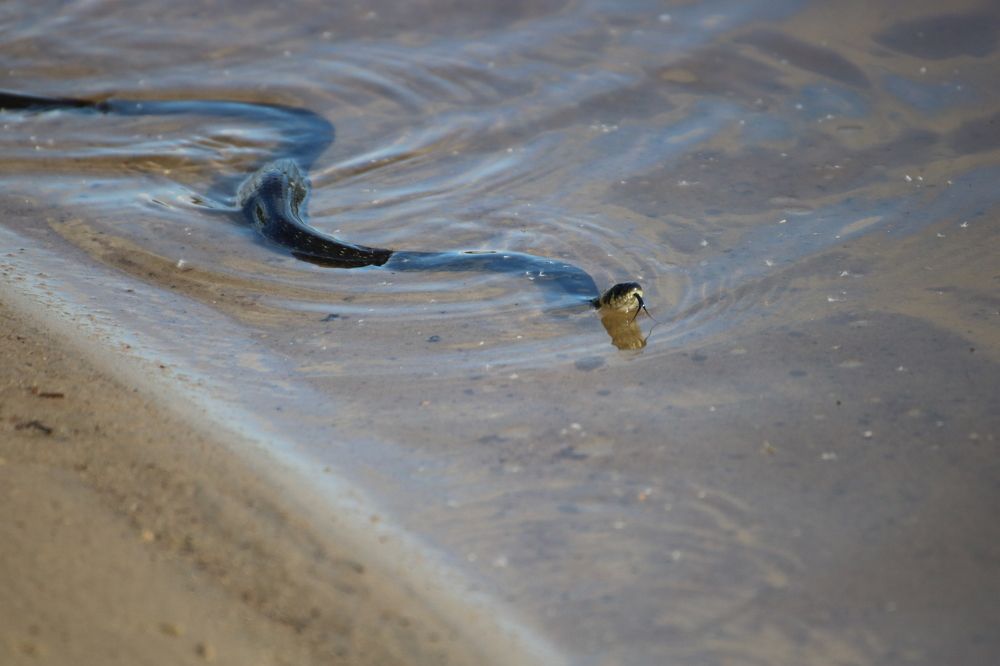 Photograph by Евгения Малафеева