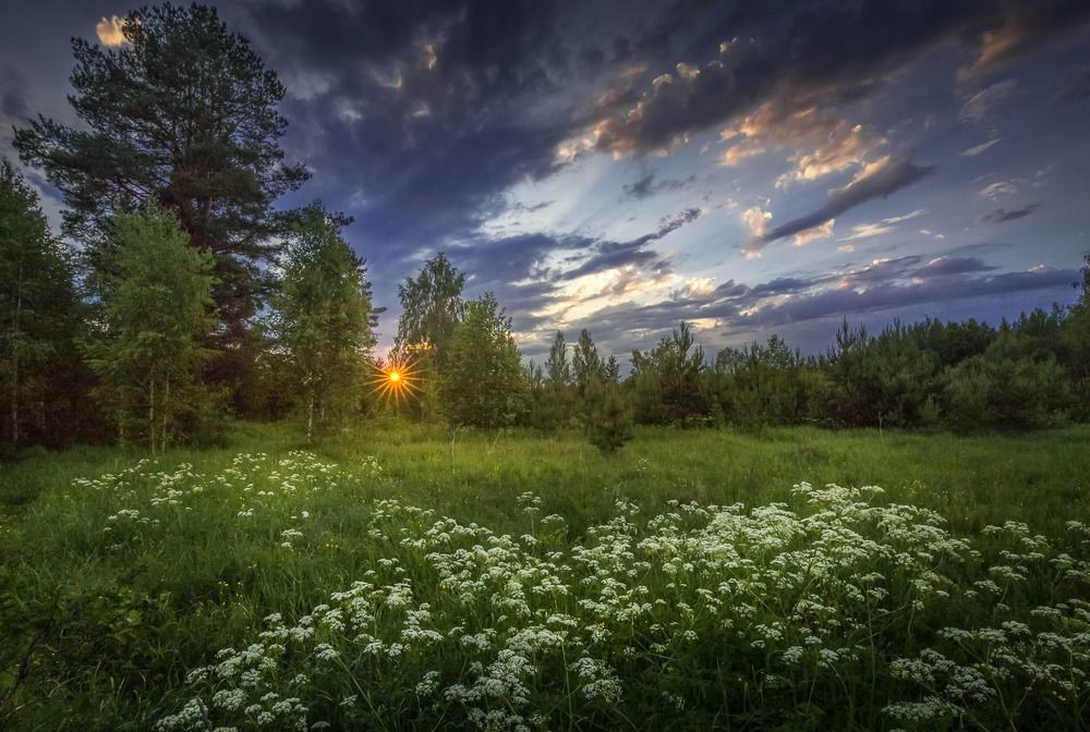 Photograph by Евгений Луцко