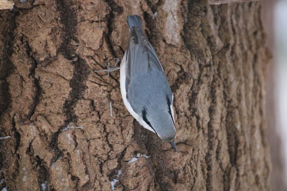 Photograph by Евгения Малафеева