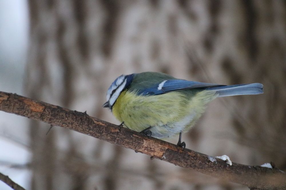 Photograph by Евгения Малафеева