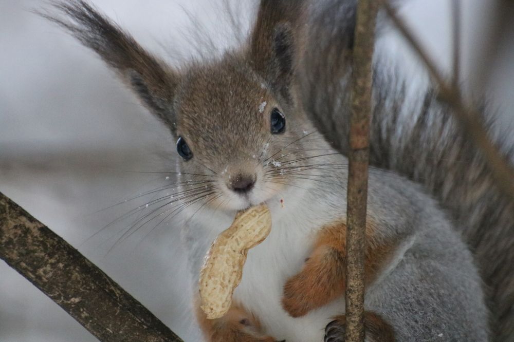 Photograph by Евгения Малафеева