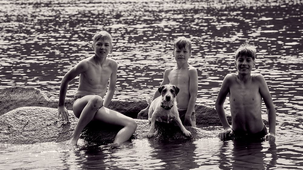 Три товарища, не считая собаки ....