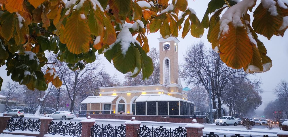 Photograph by Yuriy  Korsuntsev