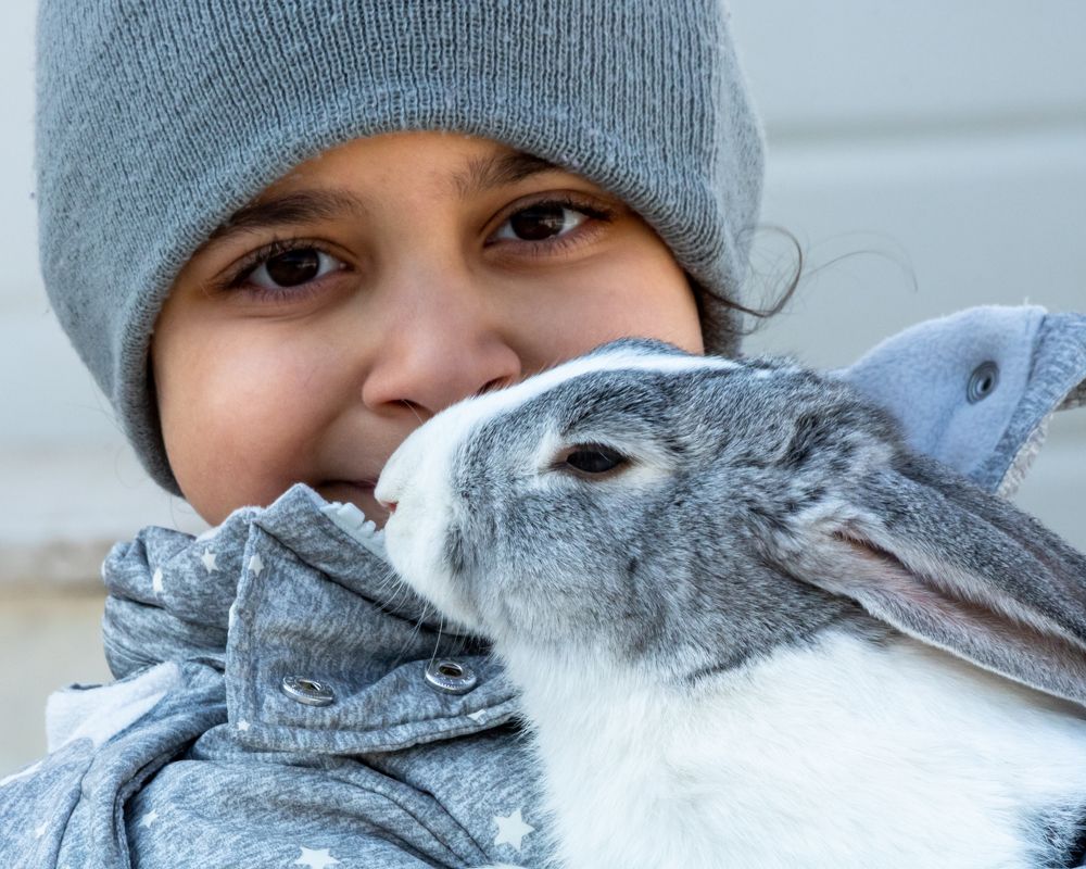 Photograph by Ali Abu Ras