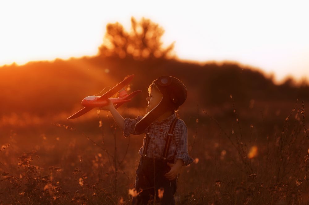 Поле, самолёт, летчик