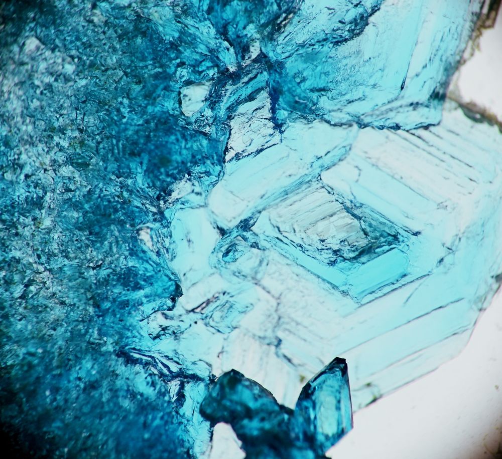 Фотография автора Дарья Мо