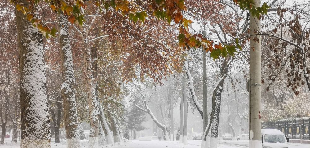 Photograph by Yuriy  Korsuntsev