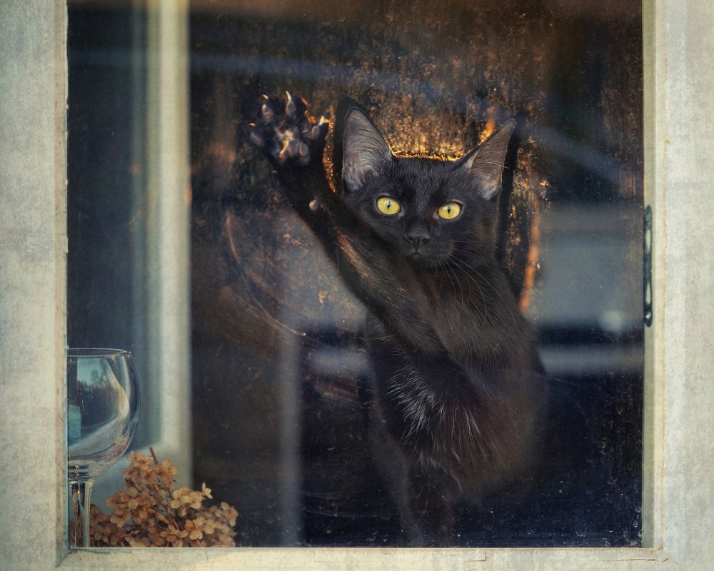 Photograph by Larianna Holm