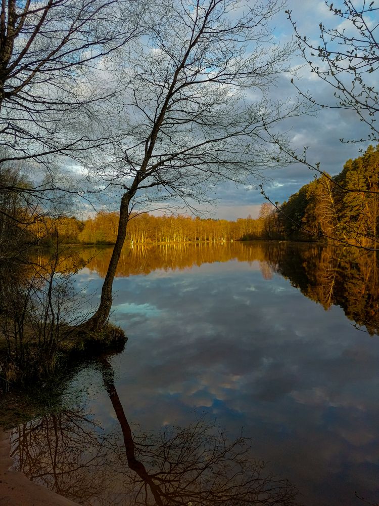 Photograph by Наталья Вололовцева