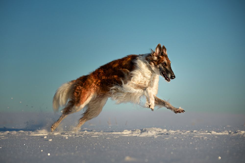 Photograph by Наталия Поникарова