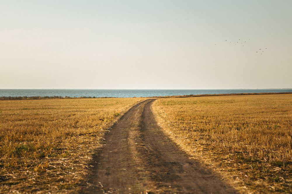 Photograph by _baydakov