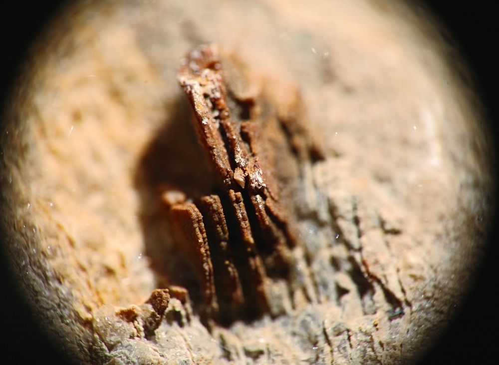 Фотография автора Дарья Мо