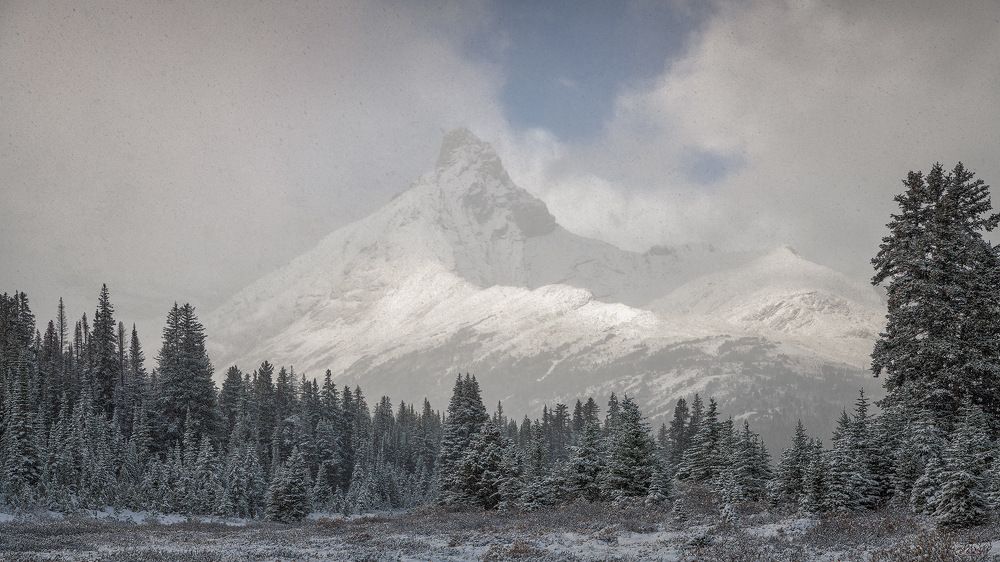 Фотография автора Emelyanov Alex