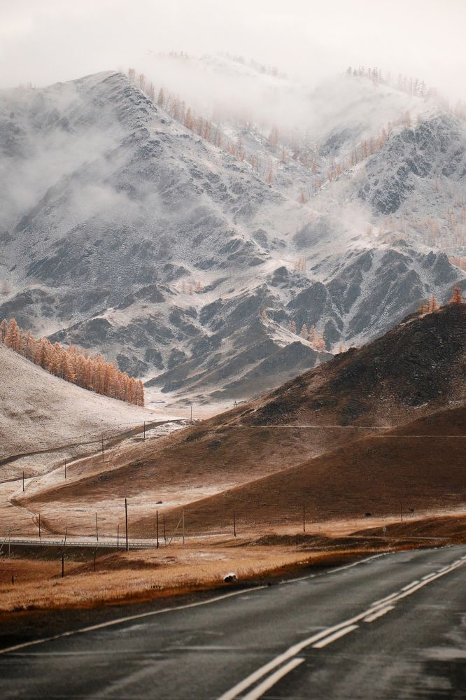 Фотография автора Владимир Эделев