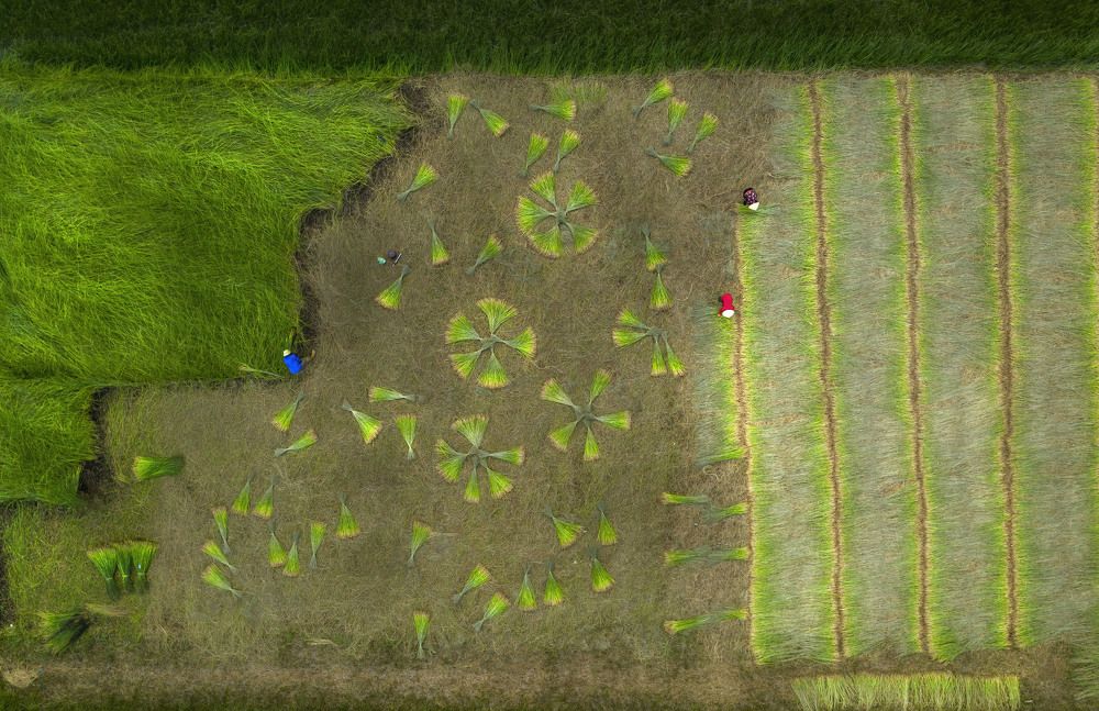 Photograph by Cong Pham Chi