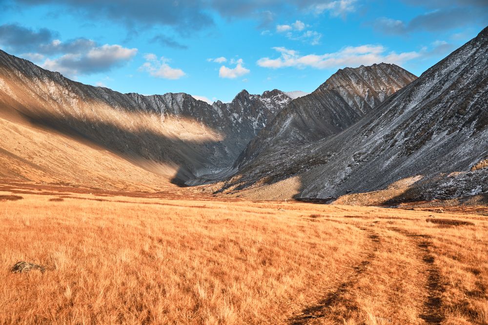 Фотография автора Владимир Эделев