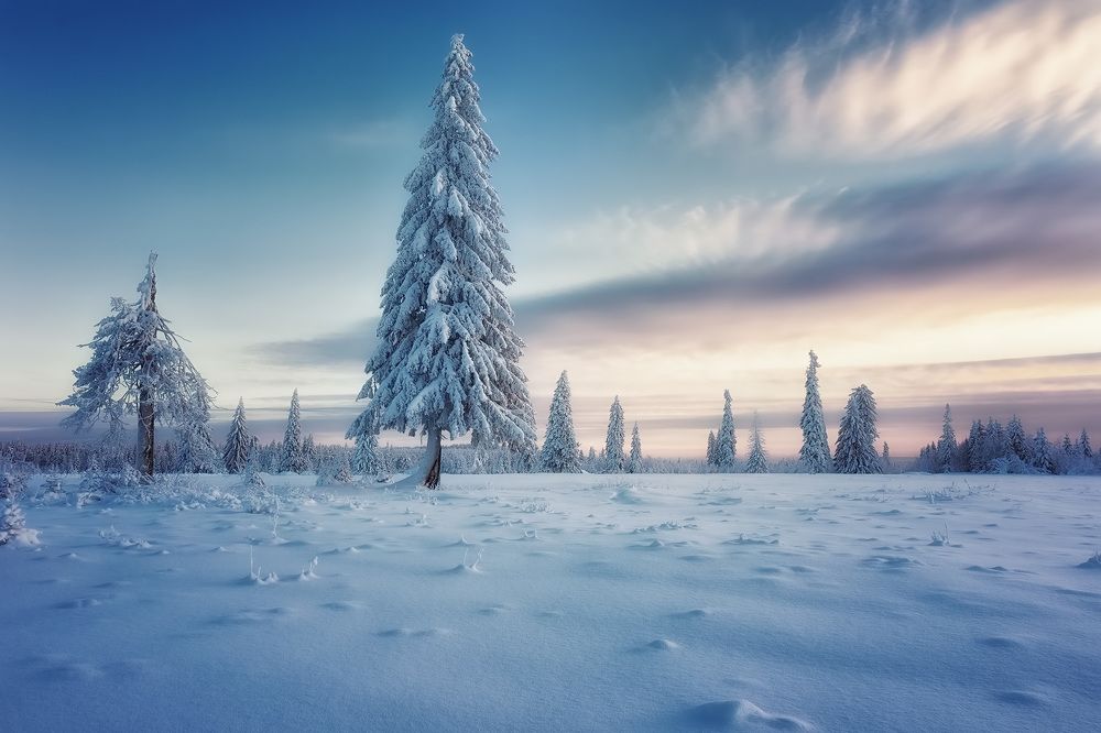 Photograph by Антон Кошетаров